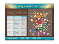 Интерактивный электрифицированный стенд "Эволюция животного мира" Zarnitza 1393706964