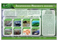 Интерактивный стенд "Загрязнение мирового океана" Zarnitza 1722107494