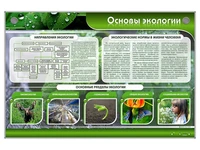 Электрифицированный стенд "Основы экологии" Zarnitza 1039634006