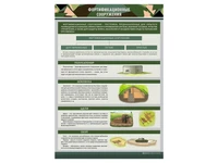 Стенды "Фортификационные сооружения" Zarnitza 607971280
