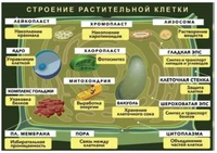Светящиеся колеса передние 120 мм (2 шт.) 120х30 мм под модель Maxi Зеленые (Хаки) 2141176055