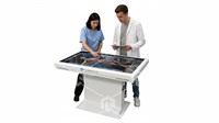 Интерактивный анатомический стол (металл) 50 дюймов 873290855