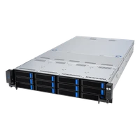 Шасси ASUS RS521A-E12-RS12U 809730511