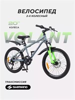 Велосипед 2-колесный Rant Volant 20" серый 180122544
