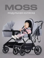 Коляска 2 в 1 Rant Moss Classic grey 1235346368