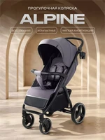 Коляска прогулочная Rant Basic Alpine 2026 Dark grey 1941460111