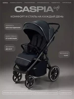 Коляска прогулочная Rant Caspia Soft 2026 Graphite 1966128115