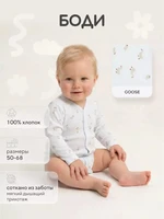Боди Rant Tiny на кнопках 7993 Goose 1811018644