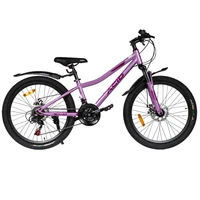 Велосипед 24' ACID Q 450 D Rose Quartz/Deep Purple 2026 700873145