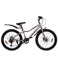 Велосипед 24' ACID Q 470 D Biege/Gray 1363193955