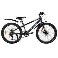 Велосипед 24' ACID F 430 D Black Flat/Silver 2026 885853384