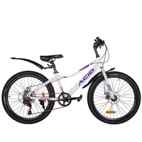 Велосипед 24' ACID Q 470 D White/Violet 1349559593
