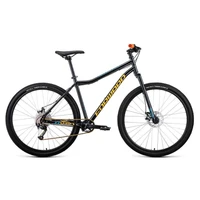 Велосипед 29' Forward Sporting 29 X disc Черный/Золотой 2022 г 1221893729