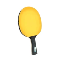 Ракетка DONIC COLOR Z YELLOW 1872281581