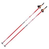 Палки Alpha Pro Race Carbon 100% (Свободная сборка) 1991727017