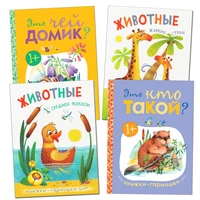 Книжки-гармошки. Набор из 4 книг 807042668