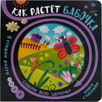 Собери цепочку. Как растет бабочка 910305815