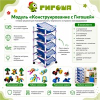 Образовательный модуль "Конструирование с Гигошей" 1062772438