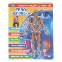 Тело человека, энциклопедия (с вставками из прозр. пленки) 230х300мм 10стр Умка в кор.20шт 9785506025238 (20)