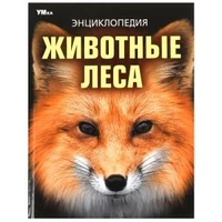 Животные леса. Энциклопедия. 197х255 мм. 7БЦ. 48 стр. Умка в кор.15шт 978-5-506-09108-0