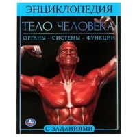 Тело человека.  Энциклопедия А4. 197х255мм, 48 стр.мелов. бумага, тв. переплет, Умка в кор.15шт 978-5-506-06178-6