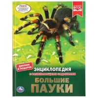 Большие пауки. (Энциклопедия А4 с развивающими заданиями). 197х255мм. 48 стр. Умка в кор.15шт 978-5-506-04309-6