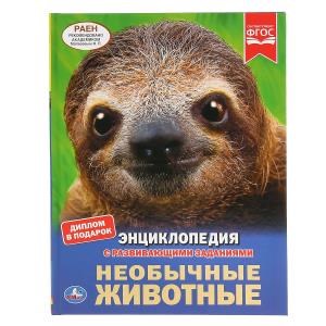 {{photo.Alt || photo.Description || 'Необычные животные. (Энциклопедия А4 с развивающими заданиями). 197х255мм. 48 стр. Умка в кор.15шт'}}