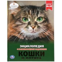 Кошки и котята. (Энциклопедия А4 с развивающими заданиями). 197х255 мм. 48 стр. Умка в кор.15шт 978-5-506-02698-3