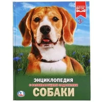 Собаки. (Энциклопедия А4 с развивающими заданиями). Формат: 197х255 мм. 48 стр. Умка в кор.15шт 978-5-506-02336-4