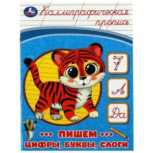 {{photo.Alt || photo.Description || 'Пишем цифры, буквы, слоги. Каллиграфическая пропись. 145х195 мм. Скрепка. 16 стр. Умка в кор.50шт'}}