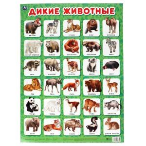 {{photo.Alt || photo.Description || 'Дикие животные. Плакат А2. Умка'}}