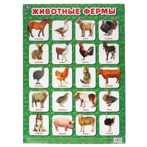 {{photo.Alt || photo.Description || 'Животные фермы. Плакат А2. Умка'}}