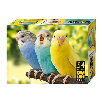 {{photo.Alt || photo.Description || 'Мозаика &quot;puzzle&quot; 54 &quot;Домашние питомцы&quot;'}}