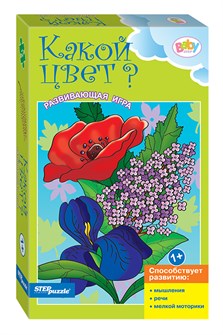 Развивающая игра 