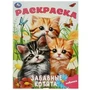 Забавные котята. Раскраска. 214х290 мм. Скрепка. 16 стр. Умка 978-5-506-09245-2