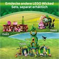 Конструктор детский LEGO WICKED Glinda Elphaba und Nessarose 75681 148245983