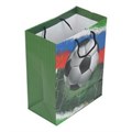Пакет подарочный МАТОВЫЙ l,футбол,140 гр/м2 ЧУДО ПРАЗДНИК PL-130226-FB