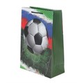 Пакет подарочный МАТОВЫЙ ml,футбол,140 гр/м2 ЧУДО ПРАЗДНИК PML-130224-FB