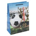 Пакет подарочный глянцевый ml,футбол,140 гр/м2 ЧУДО ПРАЗДНИК PML-131197-FB