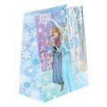 Пакет подарочный глянцевый м,снежная принцесса,140 гр/м2 ЧУДО ПРАЗДНИК PM-84305-FRZ (144)