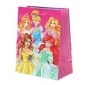 Пакет подарочный глянцевый m, принцессы,140 гр/м2 ЧУДО ПРАЗДНИК PM-89443-PD-CN (144)