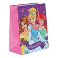 Пакет подарочный глянцевый m, принцессы,140 гр/м2 ЧУДО ПРАЗДНИК PM-89443-PD-CN (144)
