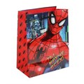 Пакет подарочный глянцевый m,супергерой,140 гр/м2 ЧУДО ПРАЗДНИК PM-97448-SM (144)