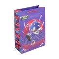 Пакет подарочный МАТОВЫЙ Sonic ml,140 гр/м2 ЧУДО ПРАЗДНИК PML-117646-SN