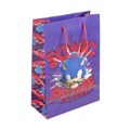 Пакет подарочный МАТОВЫЙ Sonic ml,140 гр/м2 ЧУДО ПРАЗДНИК PML-117646-SN