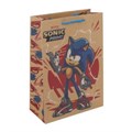 Пакет подарочный крафт Sonic ml,140 гр/м2 ЧУДО ПРАЗДНИК PMLK-117652-SN