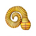 Змея оранжевая ZM 021
