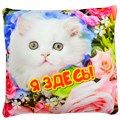 Подушка Игрушка Презент 02 АБ000496