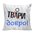 Подушка декоративная Со смыслом 02 ГАБ005702