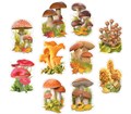 Комплект украшений на скотче "Грибная коллекция" КМ-17090 463-0-1120-6136-9